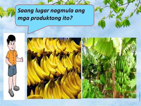 mga produkto ng mindanao|Aralin 2 mga produkto at kalakal sa ibat ibang .